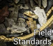 Field Standards Button